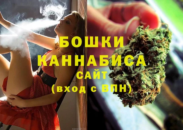 apvp Аркадак