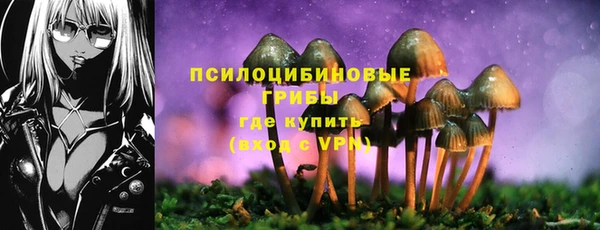 apvp Аркадак