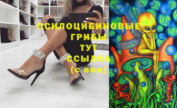 apvp Аркадак